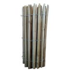 Schapenhek robinia 8cm 50 cm, Verzenden, Nieuw