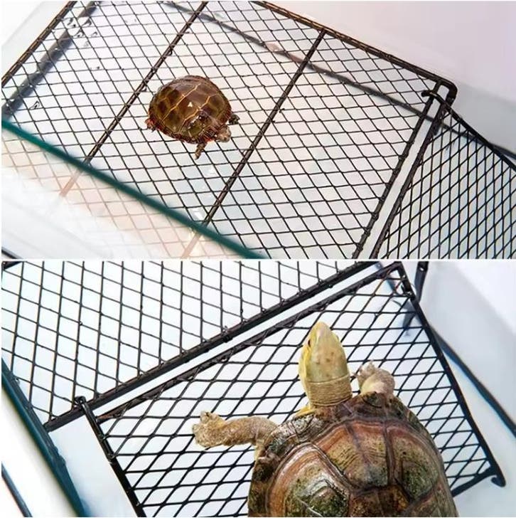 Schildpad Zonneplatform – Drijvend Basking Platform Aquarium, Dieren en Toebehoren, Reptielen en Amfibieën