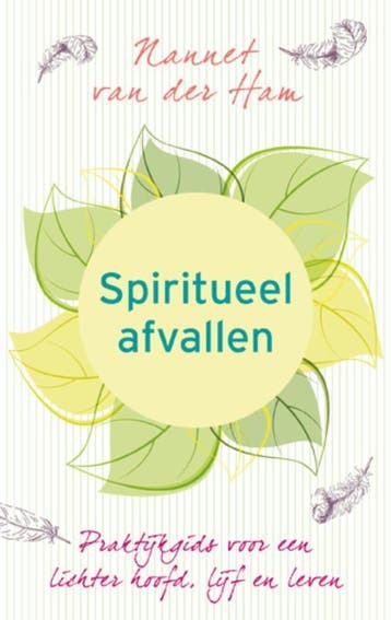 Spiritueel afvallen 9789025901684 Nannet van der Ham, Verzenden, Zo goed als nieuw, Nannet van der Ham