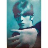 cd - David Bowie - In The Beginning, Cd's en Dvd's, Verzenden, Nieuw in verpakking