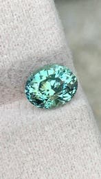 Zonder minimumprijs Groen, Blauw Saffier - 1.85 ct -, Nieuw