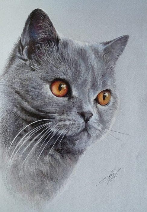Yevhen Karpenko - Amber, Antiek en Kunst, Kunst | Designobjecten