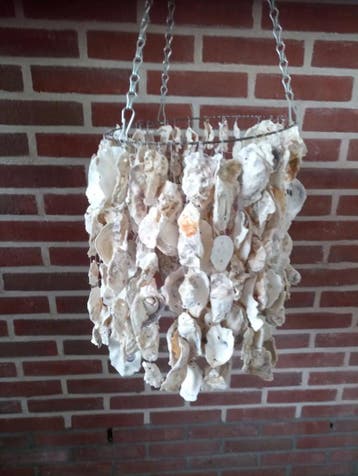 Oesterschelpen Stukjes 1 kilo, Ophalen of Verzenden, Nieuw