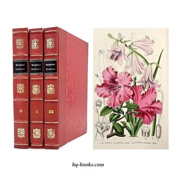 La Belgique Horticole - Journal des jardins, des serres et
