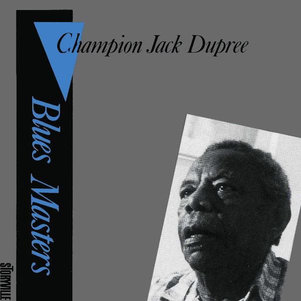 cd - Champion Jack Dupree - Blues Masters, Vol. 6, Cd's en Dvd's, Cd's | Overige Cd's, Zo goed als nieuw, Verzenden