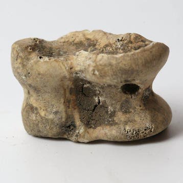 Oud-Romeins Been Astragalus (Knucklebone) voor gaming