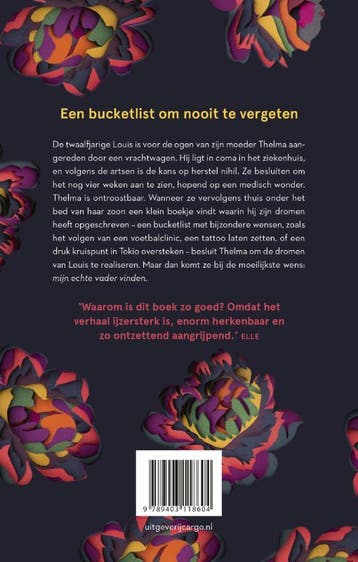 De droomlijst - Julien Sandrel 9789403118604, Verzenden, Gelezen, Julien Sandrel