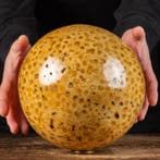 Magnifieke fossiele koraalbol - Hoogte: 200 mm - Breedte: