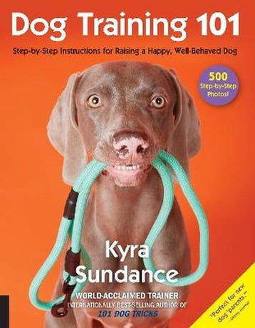 9781631593109 Dog Training 101 Kyra Sundance, Boeken, Verzenden, Nieuw, Kyra Sundance