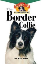 The Border Collie 9780876054925 Mary Burch, Verzenden, Gelezen, Mary Burch