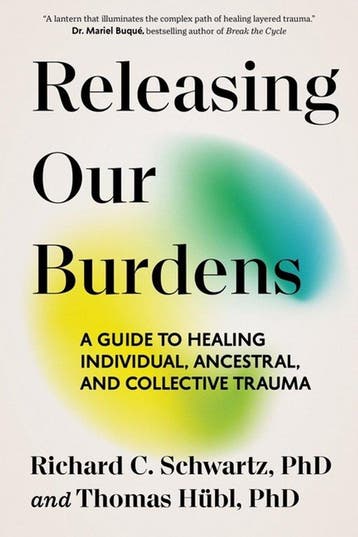 9781649634108 Releasing Our Burdens Richard C Schwartz, Boeken, Verzenden, Nieuw, Richard C Schwartz