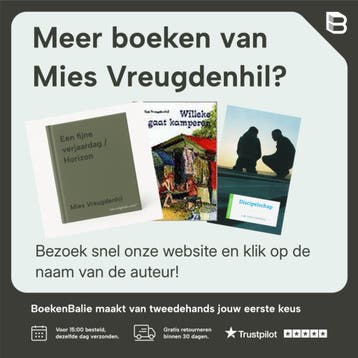 Een steen door het raam / Horizon 9789029715768, Boeken, Verzenden, Gelezen, Mies Vreugdenhil