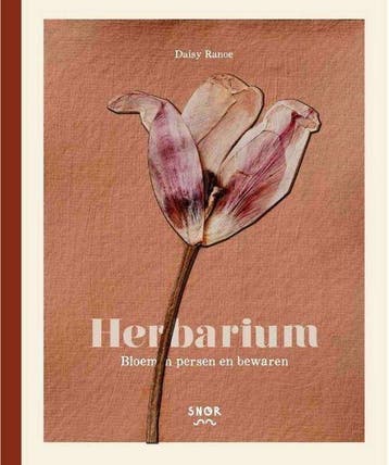 9789463141215 Herbarium Daisy Ranoe, Boeken, Verzenden, Nieuw, Daisy Ranoe
