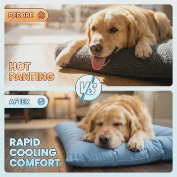 Extra Grote Hond Koelmat - Luxe Pluche Sofa Bed met 8 Compar, Dieren en Toebehoren, Verzenden, Nieuw