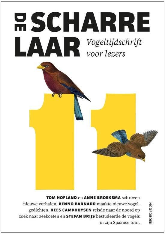 9789464712636 De Scharrelaar 11, Boeken, Studieboeken en Cursussen, Nieuw, Verzenden