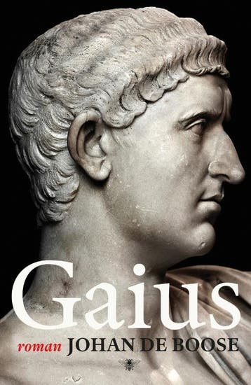 Gaius / Het vloekhout / 1 - Johan de Boose 9789085424376, Verzenden, Gelezen, Johan de Boose