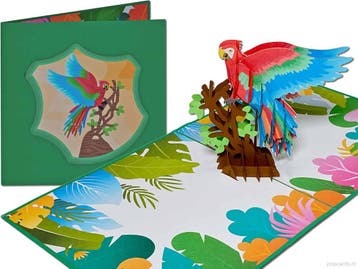 Papegaai Ara Oerwoud Jungle pop-up wenskaart, Verzenden, Nieuw