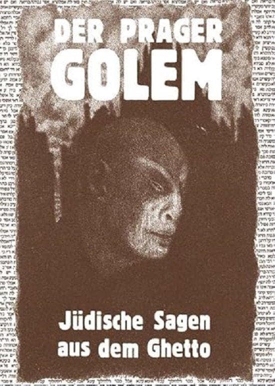 Der Prager Golem - Harold Salfeelner 9783899190991, Boeken, Taal | Duits, Zo goed als nieuw, Verzenden