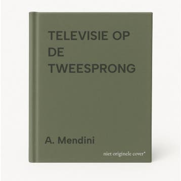 TELEVISIE OP DE TWEESPRONG - A. Mendini 9789066114432, Verzenden, Gelezen, A. Mendini