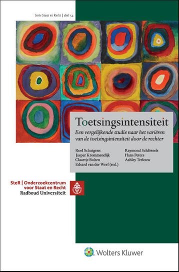 Toetsingsintensiteit 9789013167764, Boeken, Verzenden, Zo goed als nieuw
