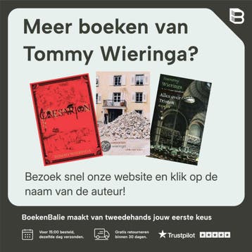 Joe Speedboot 9789059656864 Tommy Wieringa, Verzenden, Gelezen, Tommy Wieringa