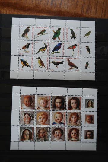 Suriname 2003/2007 - Suriname, vellen en blokken o.a. met, Gestempeld