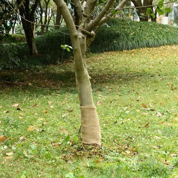 vidaXL Jute rol 200 g/m² 0,25x50 m 100% jute, Verzenden, Nieuw