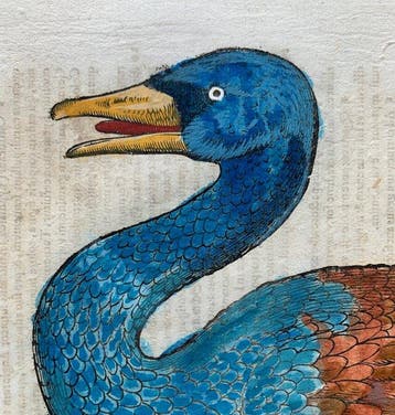 Conrad Gesner - Vogelbuch - 1617