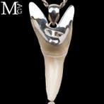 Haai Set tanden - Isurus Oxyrinchus - Silver 925 - Italian