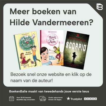 Het Pleintje / Het pleintje / 1 - Hilde Vandermeeren, Verzenden, Zo goed als nieuw, Hilde Vandermeeren