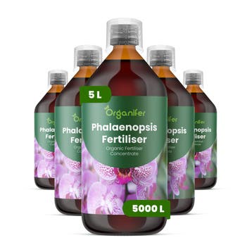 Phalaenopsis Vloeibare meststof - Set 5x1 liter, Verzenden, Mest