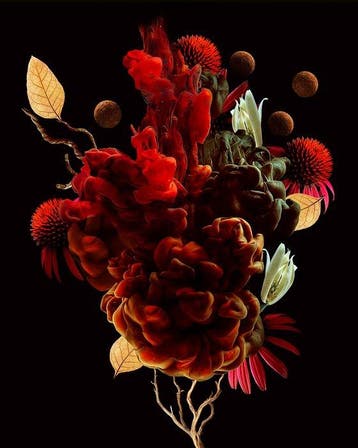 Elena Paraskeva - Blooms Of The Atrium #2