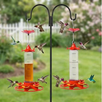 Kolibrievoeder Hangend 350ml – 5 Poorten en Mierenwerend, Dieren en Toebehoren, Verzenden, Nieuw