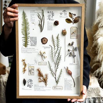 Verschillende planten Taxidermie volledige montage - Various