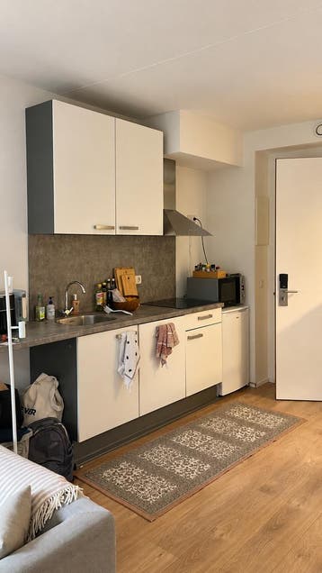 Te huur: Appartement van Swietenstraat in Leeuwarden, Leeuwarden, Friesland, Appartement
