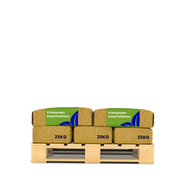 Pootaardappelen Frieslander A 28/35 (10x = 250kg), Tuin en Terras, Bloembollen en Zaden, Gehele jaar, Volle zon, Verzenden