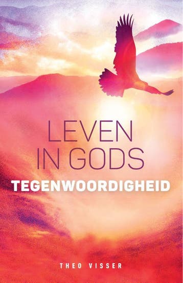 Leven in Gods tegenwoordigheid - Theo Visser 9789059991743, Boeken, Verzenden, Gelezen, Theo Visser