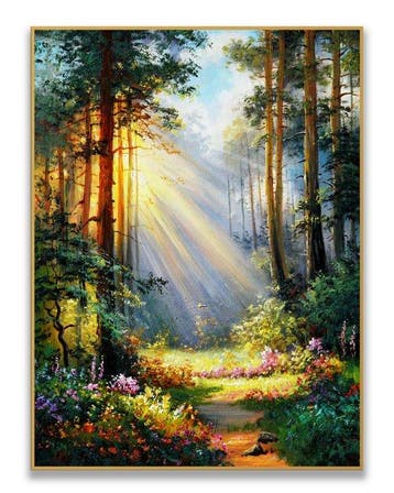 Stefano - Forest Light at Dawn