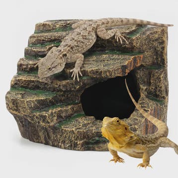 Decoratieve Reptielen Grot & Basking Platform - Hars Ornamen