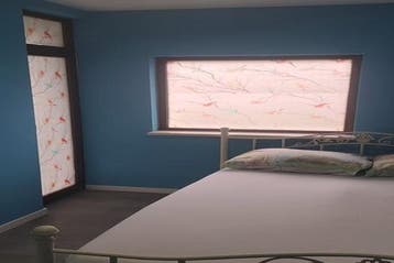 Kamer Tholenstraat in Rotterdam, 20 tot 35 m², Rotterdam