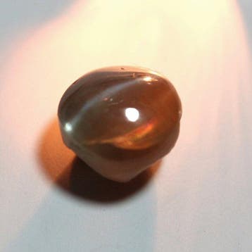 1 pcs Groen, Rood, Bruin Alexandriet - 2.41 ct -, Sieraden, Tassen en Uiterlijk, Edelstenen, Nieuw