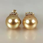 Oorbellen - 18 karaat Geel goud Parel - Diamant - Southsea, Sieraden, Tassen en Uiterlijk, Oorbellen, Nieuw