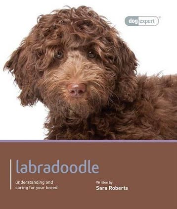 Labradoodle - Dog Expert, Verzenden, Nieuw