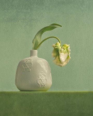 Ursula van de Bunte - Bending Grace
