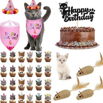 Katten verjaardags cadeau en decoratie pakket roze of blauw, Verzenden, Nieuw