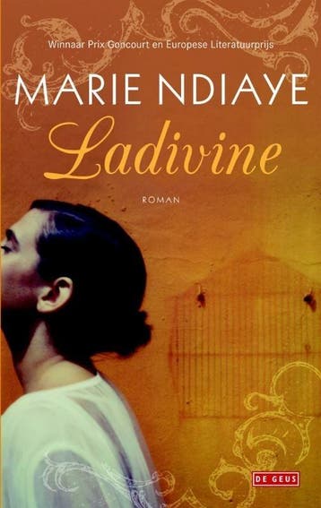 Ladivine (9789044532708, Marie Ndiaye), Boeken, Romans, Verzenden, Nieuw