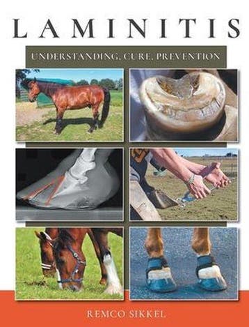 9789493034082 Laminitis Remco Sikkel, Verzenden, Nieuw, Remco Sikkel