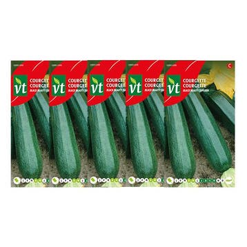Courgettezaad | VT | 5 stuks, Verzenden