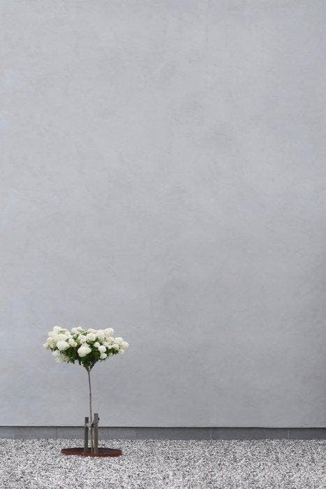 Marcus Cederberg - Tiny tree, Antiek en Kunst, Kunst | Designobjecten