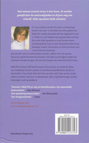 De grote stilte 9789002223723 Miek Pot, Boeken, Verzenden, Gelezen, Miek Pot